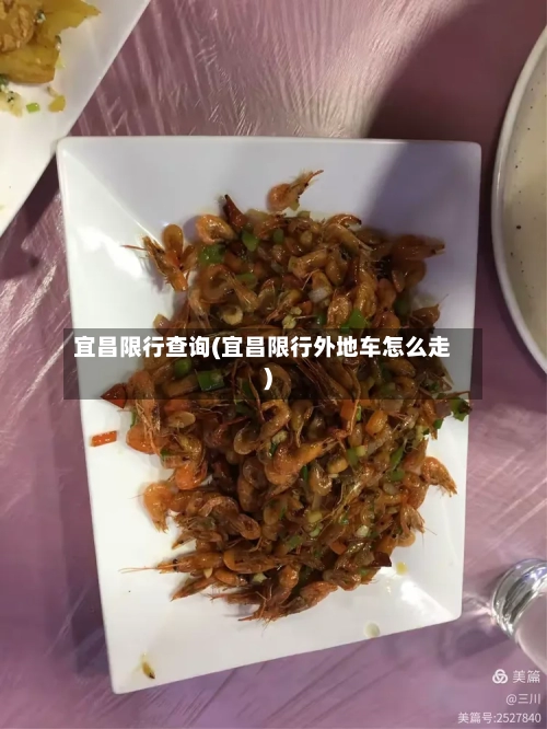 宜昌限行查询(宜昌限行外地车怎么走)