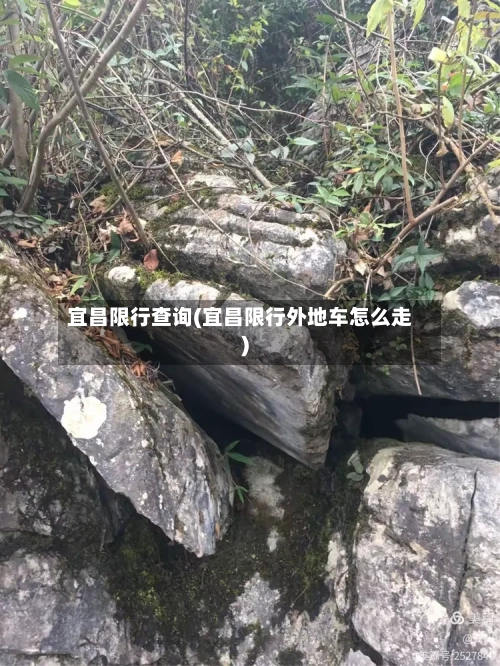 宜昌限行查询(宜昌限行外地车怎么走)-第3张图片