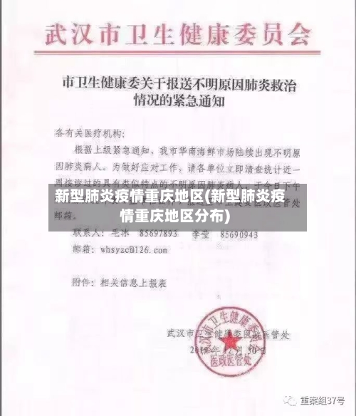 新型肺炎疫情重庆地区(新型肺炎疫情重庆地区分布)-第3张图片