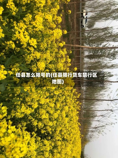 任县怎么限号的(任县限行货车禁行区地图)