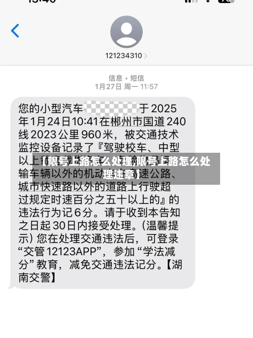 【限号上路怎么处理,限号上路怎么处理违章】