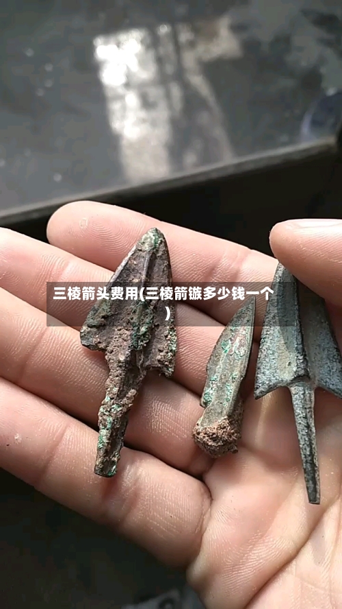 三棱箭头费用(三棱箭镞多少钱一个)-第2张图片