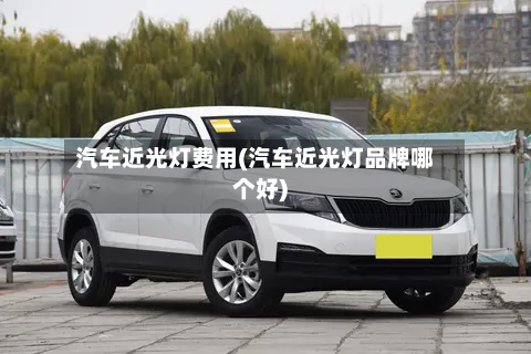 汽车近光灯费用(汽车近光灯品牌哪个好)-第3张图片