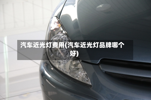 汽车近光灯费用(汽车近光灯品牌哪个好)
