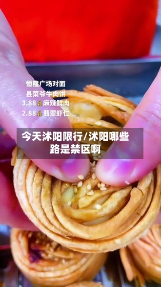 今天沭阳限行/沭阳哪些路是禁区啊-第2张图片
