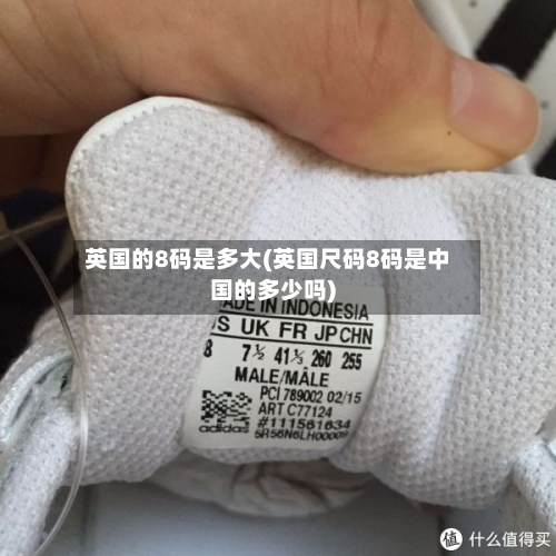 英国的8码是多大(英国尺码8码是中国的多少吗)-第3张图片