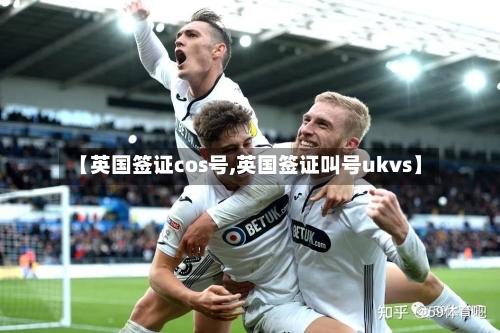 【英国签证cos号,英国签证叫号ukvs】-第3张图片