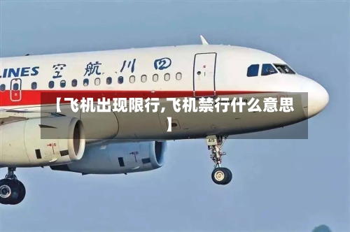 【飞机出现限行,飞机禁行什么意思】-第2张图片