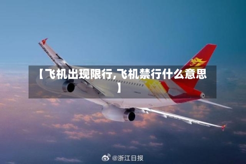【飞机出现限行,飞机禁行什么意思】