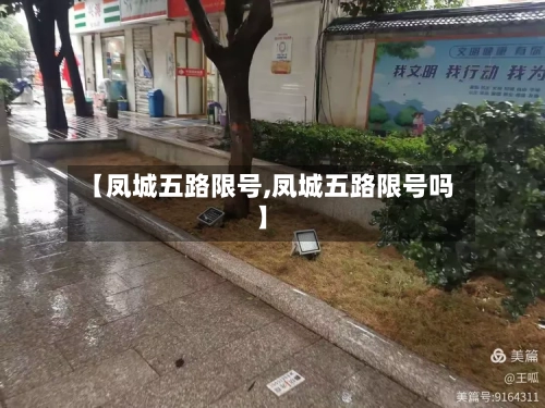 【凤城五路限号,凤城五路限号吗】