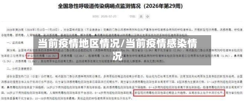 当前疫情地区情况/当前疫情感染情况-第2张图片