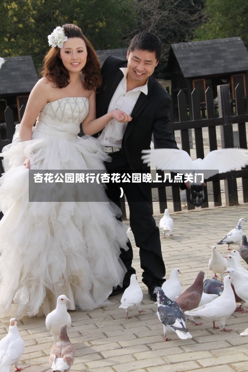杏花公园限行(杏花公园晚上几点关门)-第3张图片