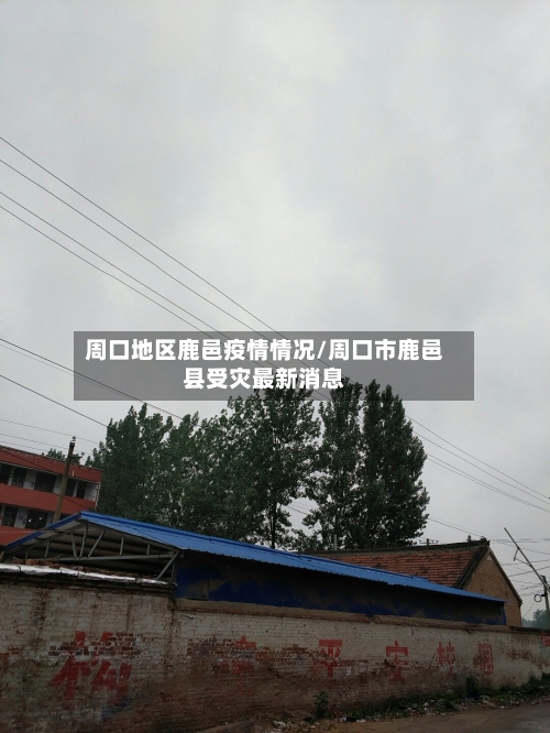 周口地区鹿邑疫情情况/周口市鹿邑县受灾最新消息