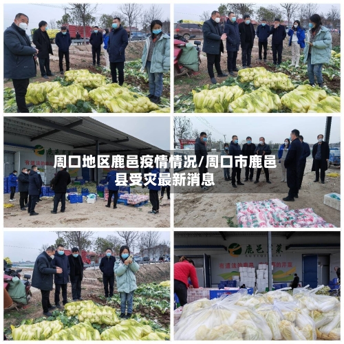 周口地区鹿邑疫情情况/周口市鹿邑县受灾最新消息-第2张图片