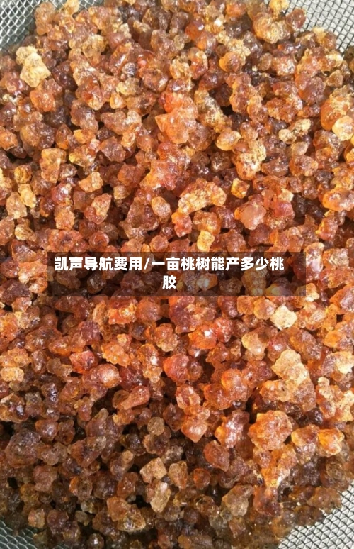 凯声导航费用/一亩桃树能产多少桃胶-第2张图片