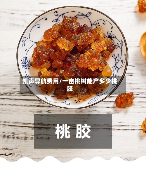 凯声导航费用/一亩桃树能产多少桃胶