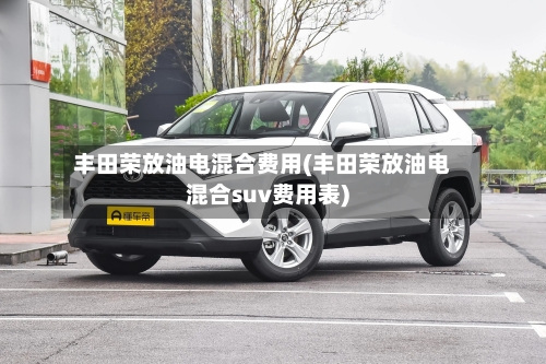 丰田荣放油电混合费用(丰田荣放油电混合suv费用表)-第2张图片