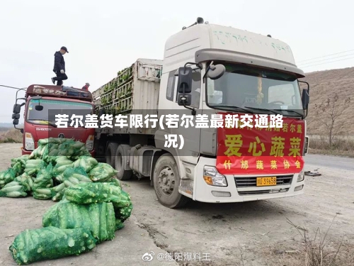 若尔盖货车限行(若尔盖最新交通路况)-第2张图片