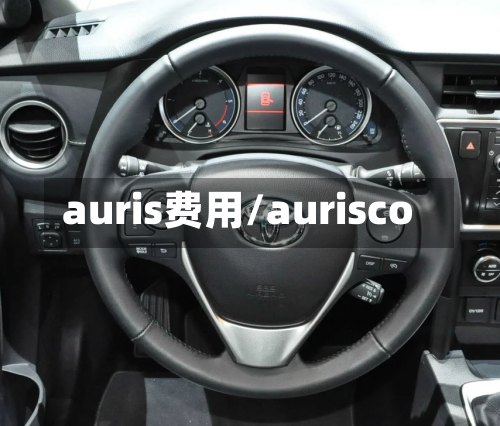 auris费用/aurisco-第2张图片