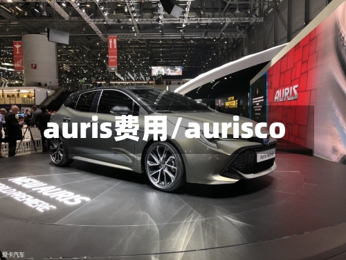 auris费用/aurisco