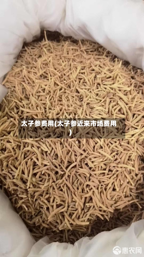 太孑参费用(太子参近来市场费用)