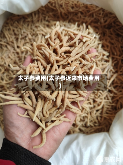 太孑参费用(太子参近来市场费用)-第2张图片
