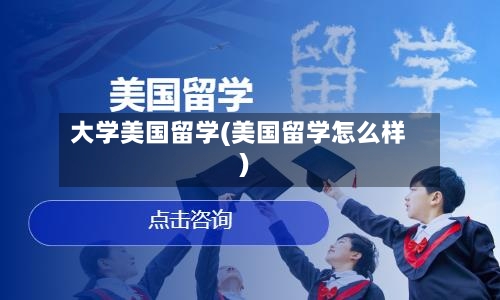 大学美国留学(美国留学怎么样)-第2张图片