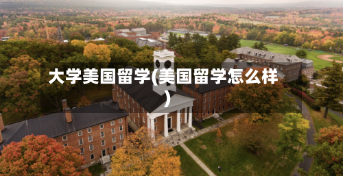 大学美国留学(美国留学怎么样)