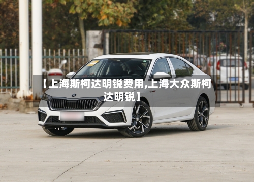 【上海斯柯达明锐费用,上海大众斯柯达明锐】-第3张图片