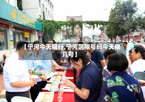【宁河今天限行,宁河区限号吗今天限几号】-第2张图片