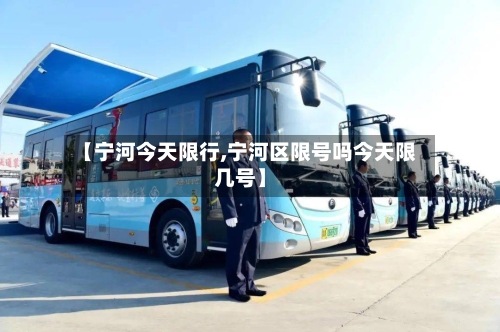 【宁河今天限行,宁河区限号吗今天限几号】-第3张图片