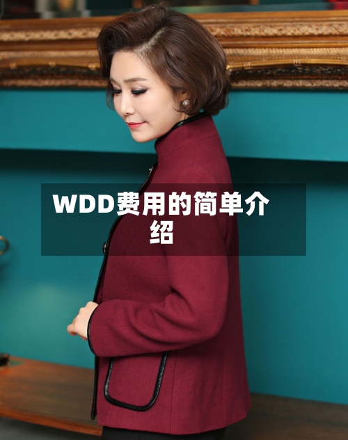 WDD费用的简单介绍