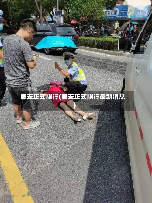 临安正式限行(临安正式限行最新消息)-第2张图片