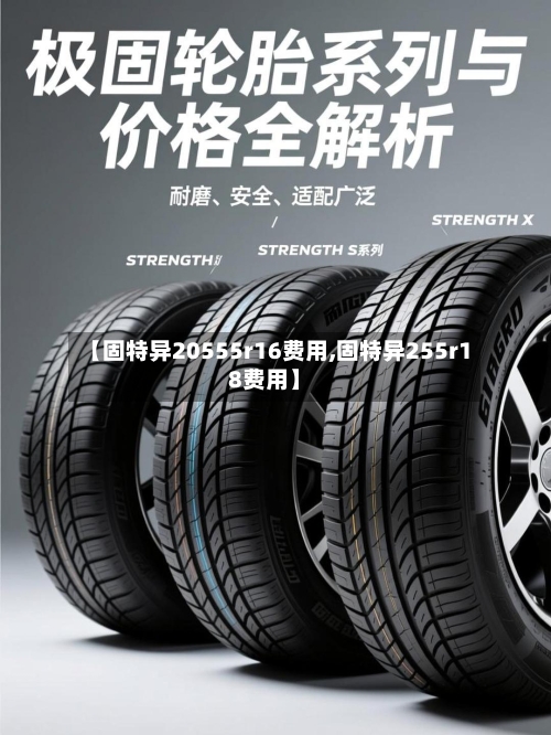 【固特异20555r16费用,固特异255r18费用】-第3张图片