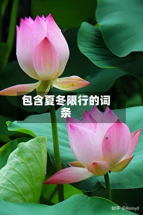 包含夏冬限行的词条-第2张图片