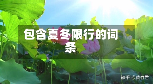 包含夏冬限行的词条
