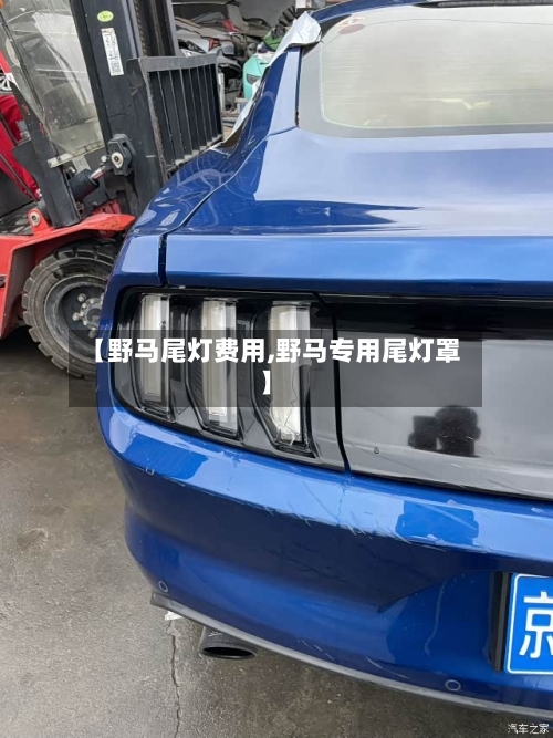 【野马尾灯费用,野马专用尾灯罩】-第2张图片
