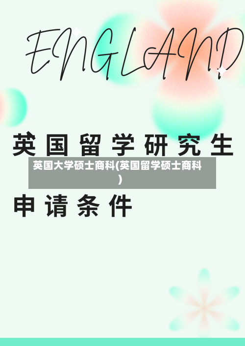 英国大学硕士商科(英国留学硕士商科)