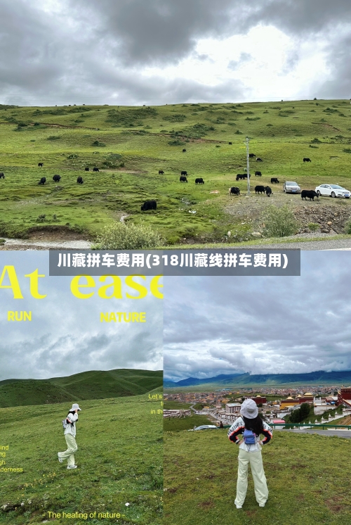 川藏拼车费用(318川藏线拼车费用)-第3张图片
