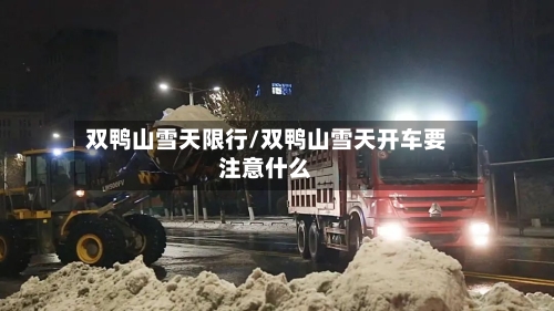 双鸭山雪天限行/双鸭山雪天开车要注意什么-第2张图片