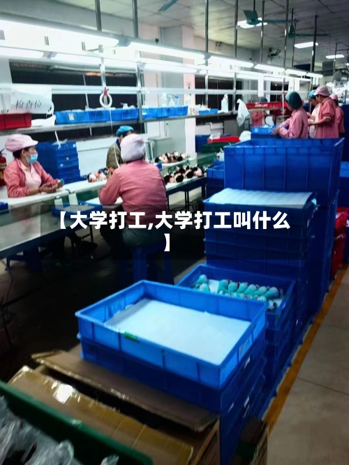 【大学打工,大学打工叫什么】