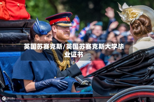 英国苏赛克斯/英国苏赛克斯大学毕业证书-第3张图片