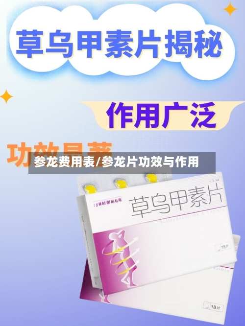 参龙费用表/参龙片功效与作用-第3张图片