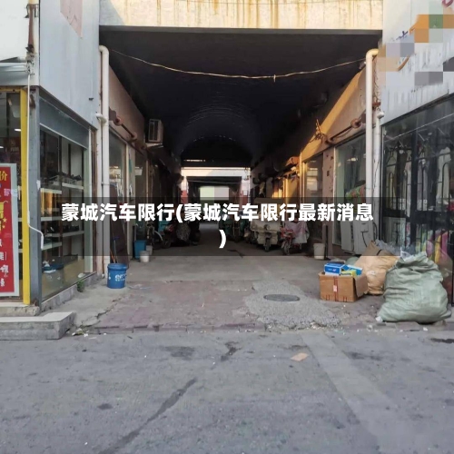蒙城汽车限行(蒙城汽车限行最新消息)-第2张图片