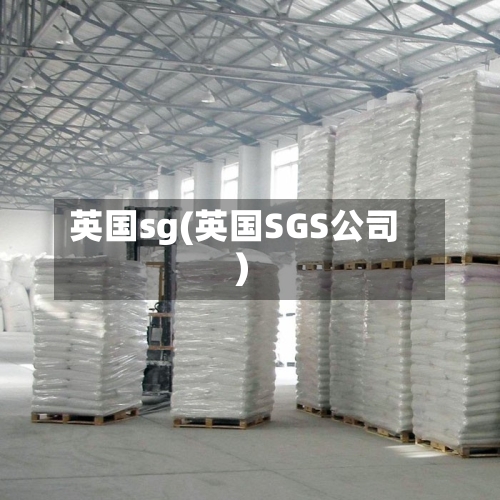 英国sg(英国SGS公司)-第2张图片