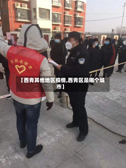 【西青其他地区疫情,西青区是哪个城市】
