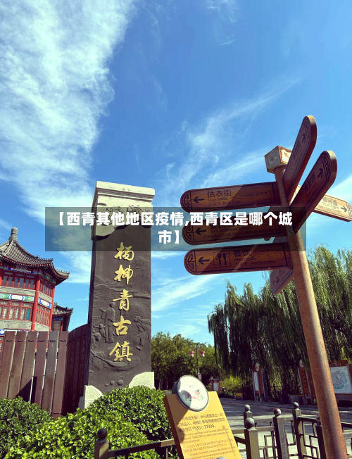 【西青其他地区疫情,西青区是哪个城市】-第3张图片