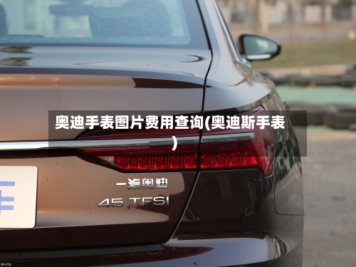 奥迪手表图片费用查询(奥迪斯手表)-第2张图片