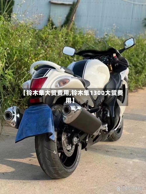 【铃木隼大贸费用,铃木隼1300大贸费用】-第2张图片