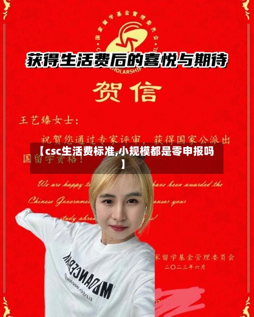 【csc生活费标准,小规模都是零申报吗】